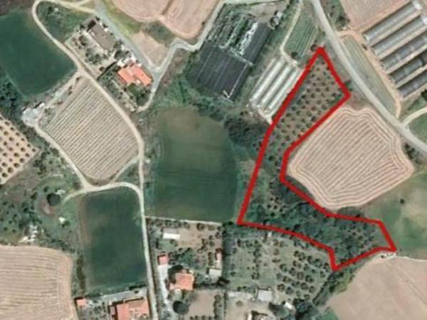 land for sale maroni larnaca 8548651 image 15538450