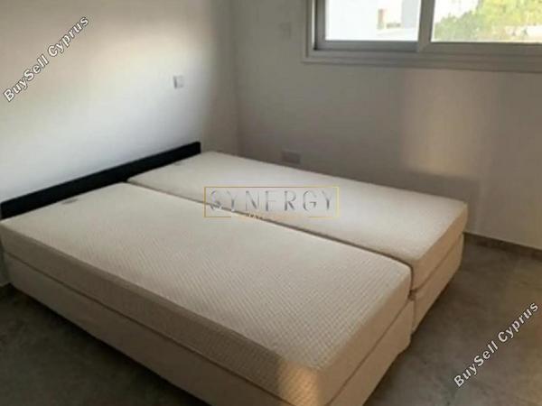 2 bedroom apartment for rent petrou kai pavlou limassol 8554751 image 16534634
