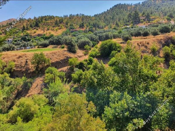 land for sale agios theodoros soleas nicosia 945751 image 847655