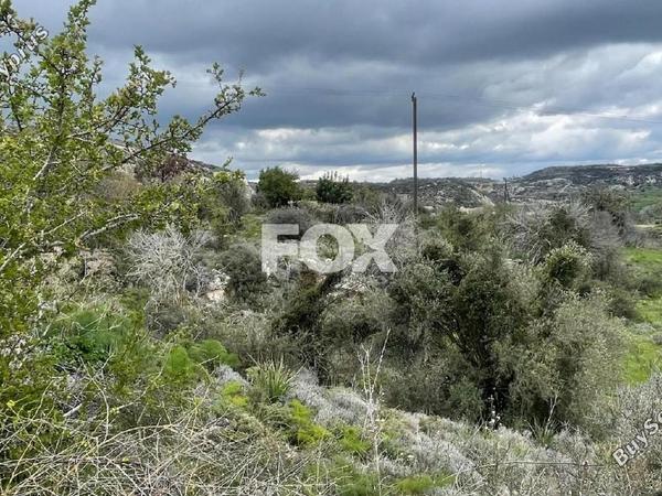 land for sale marathounta paphos 1868751 image 10050101