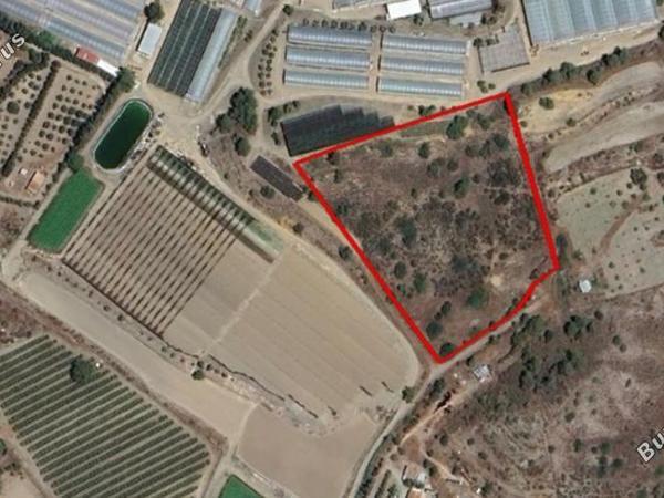 land for sale monagroulli limassol 7788751 image 10427146