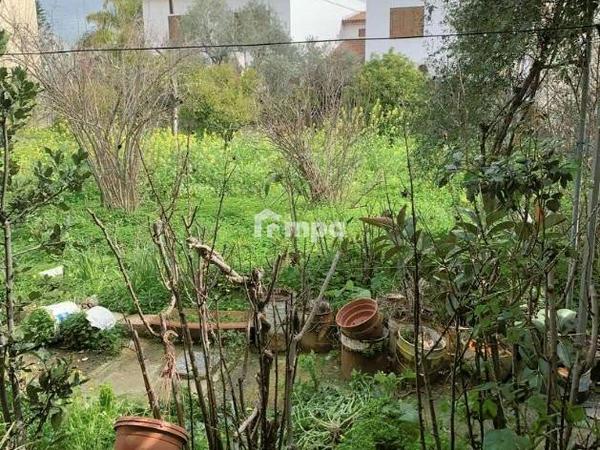 3 bedroom detached house for sale pallouriotissa nicosia 1729851 image 5551097