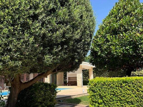 4 bedroom detached house for sale aphrodite hills paphos 1538851 image 7247715