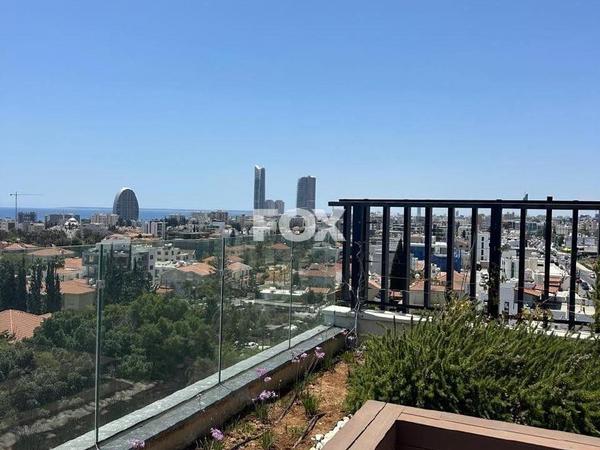 studio office for rent potamos germasogeias limassol 1836851 image 6523686