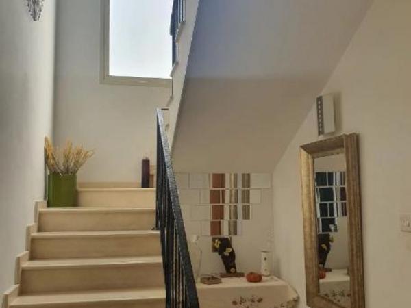 3 bedroom detached house for sale apsiou limassol 1926951 image 14499710