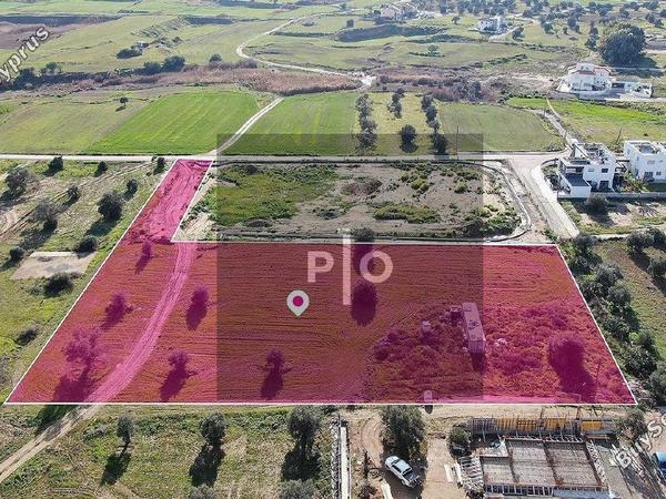 land for sale tseri nicosia 8274951 image 15156543