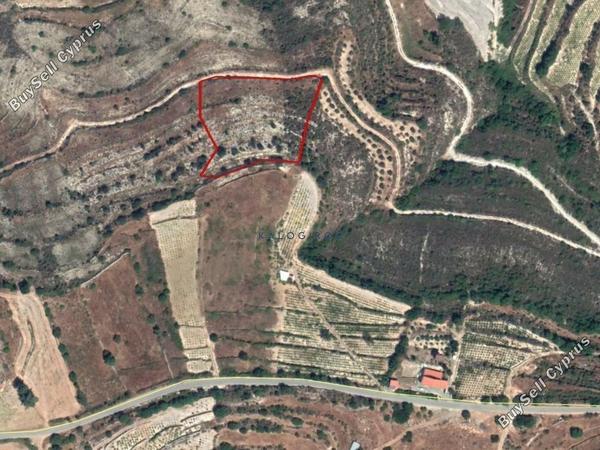 plot for sale pachna limassol 1194951 image 5573222