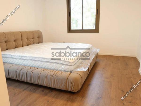 3 bedroom apartment for rent agios dometios nicosia 8749061 image 16471445