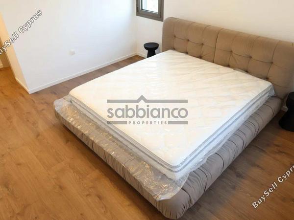 3 bedroom apartment for rent agios dometios nicosia 8749061 image 16471450