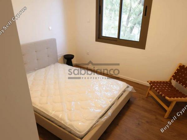 3 bedroom apartment for rent agios dometios nicosia 8749061 image 16471453