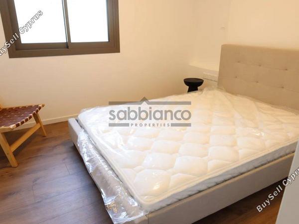 3 bedroom apartment for rent agios dometios nicosia 8749061 image 16471456