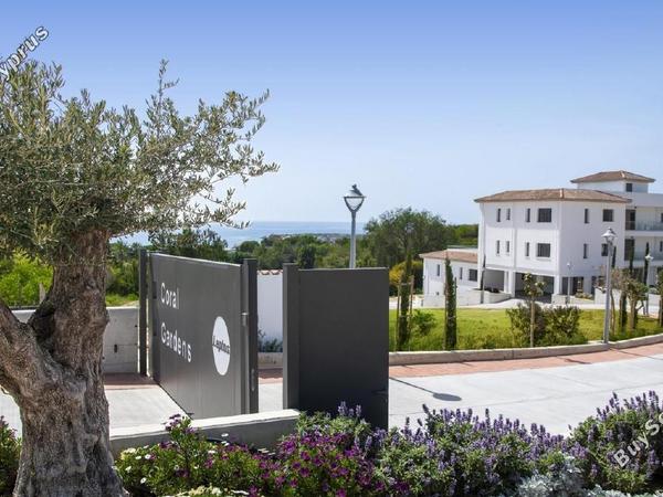 3 bedroom detached house for sale coral bay paphos 8758061 image 16514441