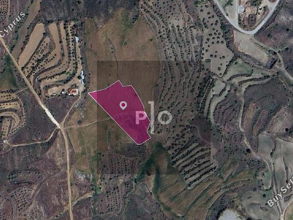 land for sale kalo chorio oreinis nicosia 8275061 image 15157172