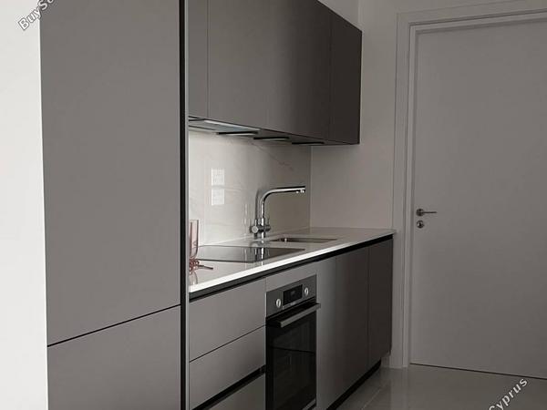 1 bedroom apartment for sale ypsonas limassol 1740161 image 4750410