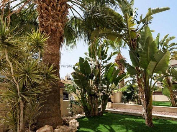 6 bedroom detached house for sale kato paphos universal paphos 7547161 image 10310635