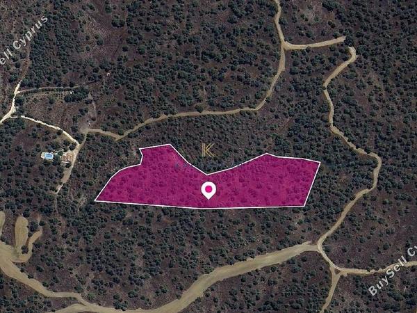 land for sale evrychou nicosia 1650161 image 5665957