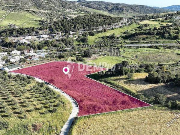 land for sale kannaviou paphos 7829161 image 15903699