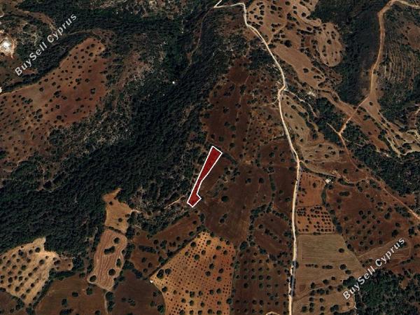 land for sale neo chorio paphos 1785161 image 15597594