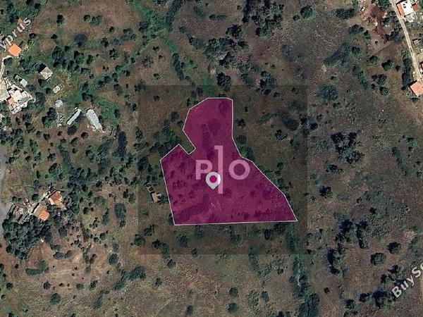 land for sale pigenia nicosia 8275161 image 15158032