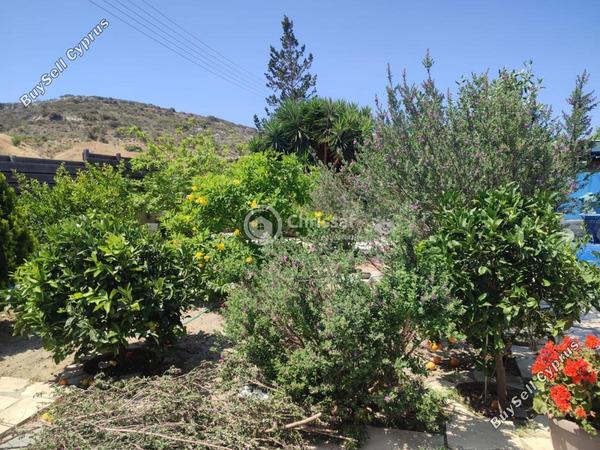 2 bedroom detached house for rent monagroulli limassol 8681261 image 16180197