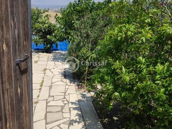 2 bedroom detached house for rent monagroulli limassol 8681261 image 16180202