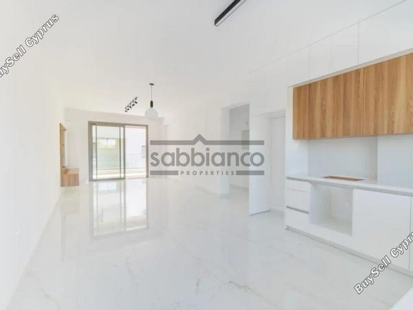 3 bedroom apartment for sale paphos municipality paphos 8752261 image 16526618