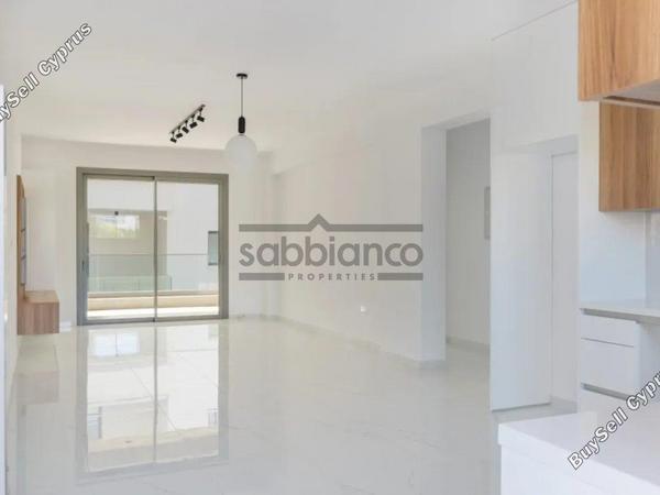 3 bedroom apartment for sale paphos municipality paphos 8752261 image 16526619