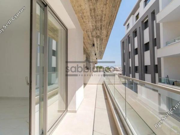 3 bedroom apartment for sale paphos municipality paphos 8752261 image 16526634