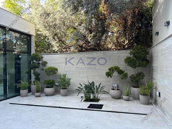 studio office for rent katholiki limassol 7452261 image 14625545