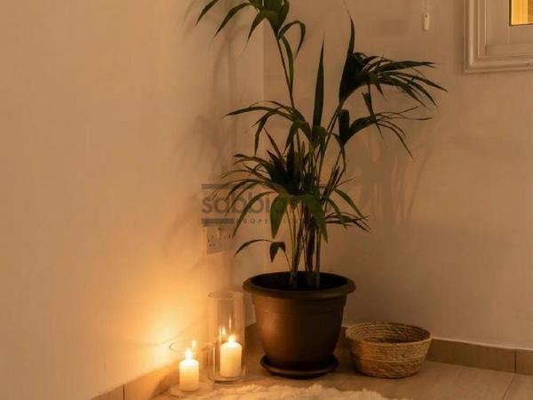 2 bedroom apartment for sale geroskipou paphos 8741361 image 16391380