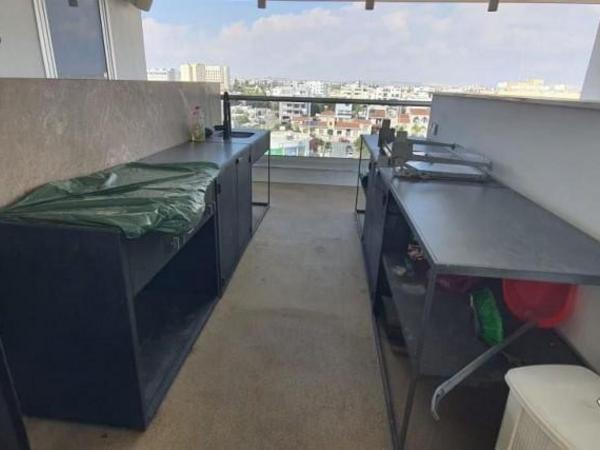 3 bedroom apartment for sale faneromeni larnaca 7738361 image 10201401