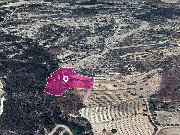 land for sale agios mamas limassol 1650361 image 5668787