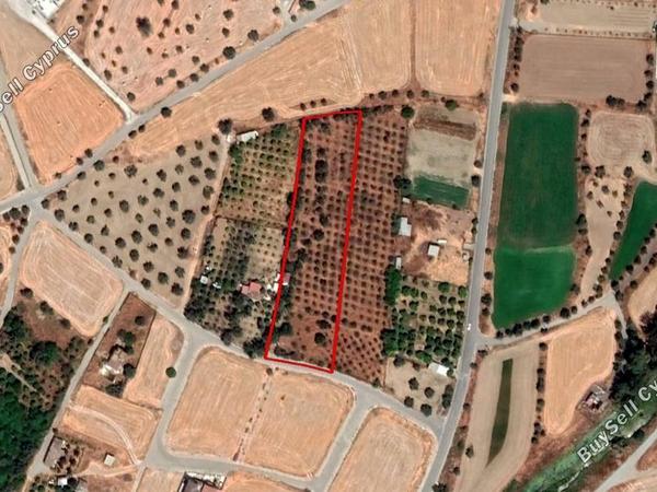 land for sale dali nicosia 966361 image 2815132