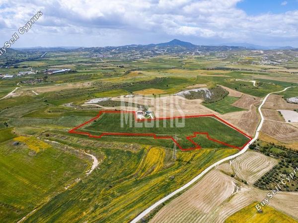 land for sale kalo chorio larnacas larnaca 1714361 image 10516552