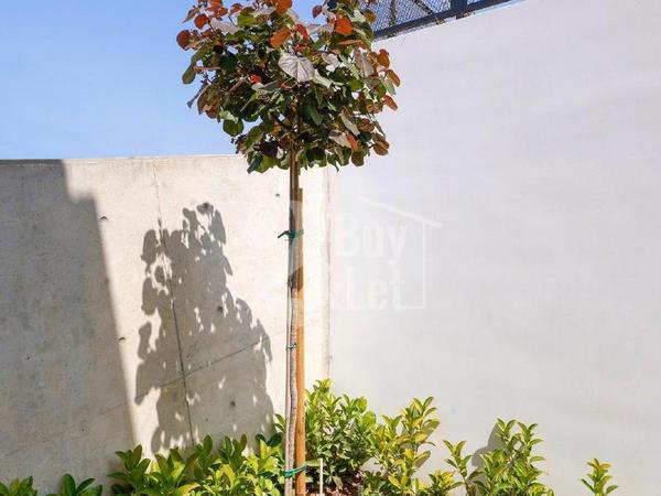 5 bedroom detached house for sale germasogeia limassol 1589461 image 9662462