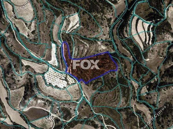 land for sale polemi paphos 1532461 image 14829111