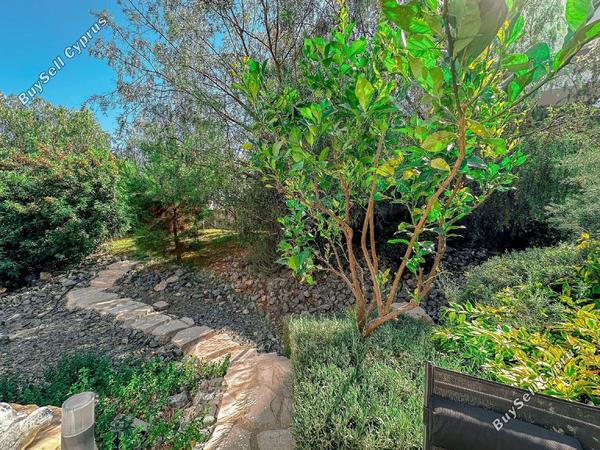 4 bedroom detached house for sale potamos germasogeias limassol 1479561 image 12655743