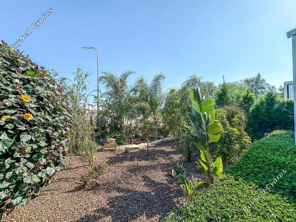 4 bedroom detached house for sale potamos germasogeias limassol 1479561 image 12655752