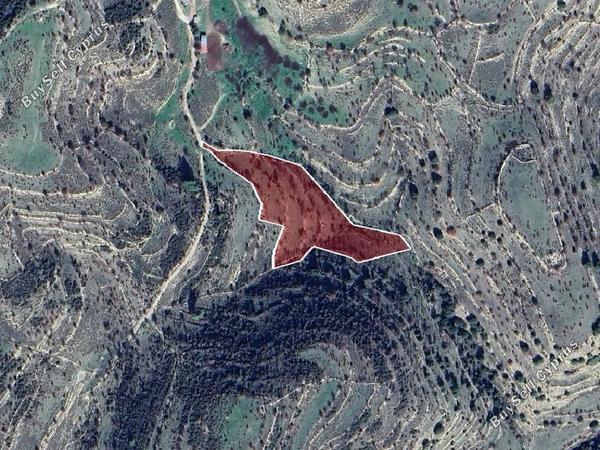 land for sale malia limassol 1562561 image 15598015