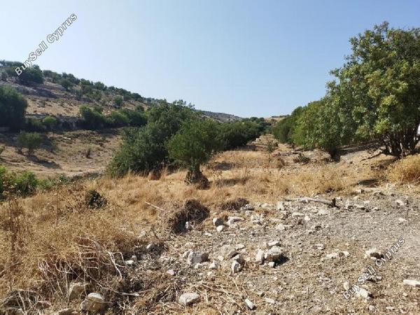 land for sale malia limassol 1562561 image 15598016