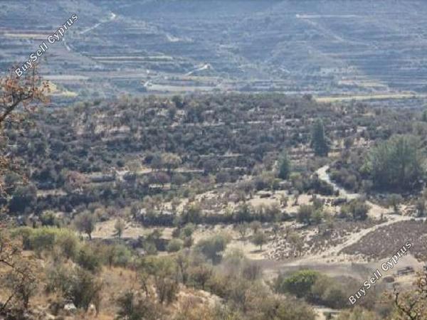 land for sale malia limassol 1562561 image 17343312