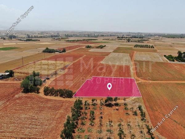 land for sale palaiometocho nicosia 7872561 image 11385808