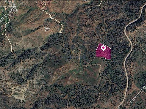 land for sale pano pyrgos nicosia 1650561 image 5671905