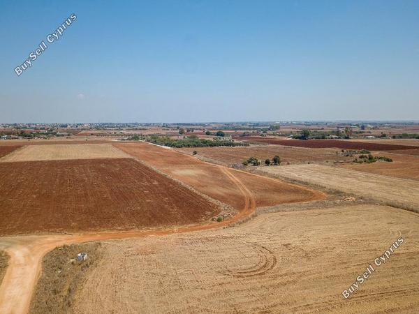 land for sale avgorou famagusta 1499661 image 3628153