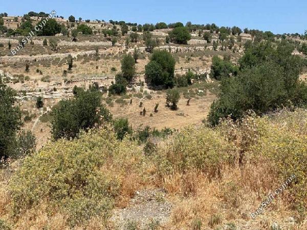land for sale malia limassol 8785661 image 16656133