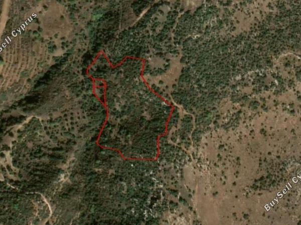 land for sale neo chorio paphos 1355661 image 15533344