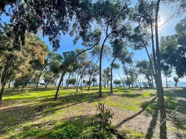 3 bedroom apartment for sale potamos germasogeias limassol 1389761 image 13229942
