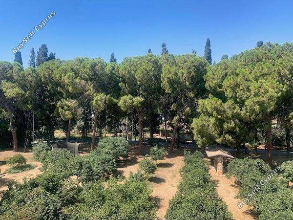 5 bedroom apartment for sale potamos germasogeias limassol 1137761 image 15161629