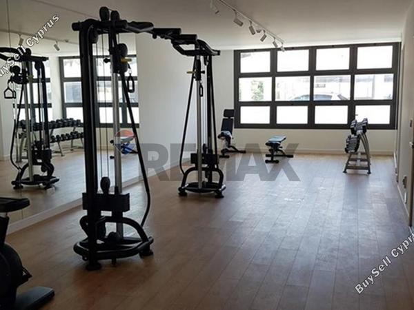 1 bedroom apartment for rent limassol municipality limassol 8692861 image 16337701