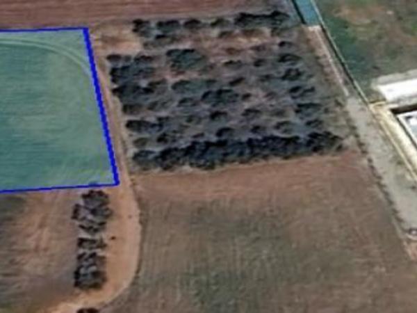 plot for sale palaiometocho nicosia 1399861 image 16180439